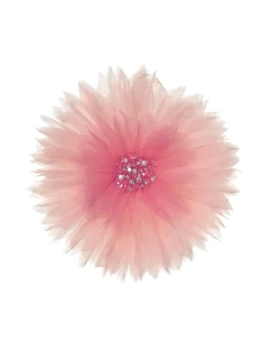 Kyoto Clip<Tutu du Monde Clearance